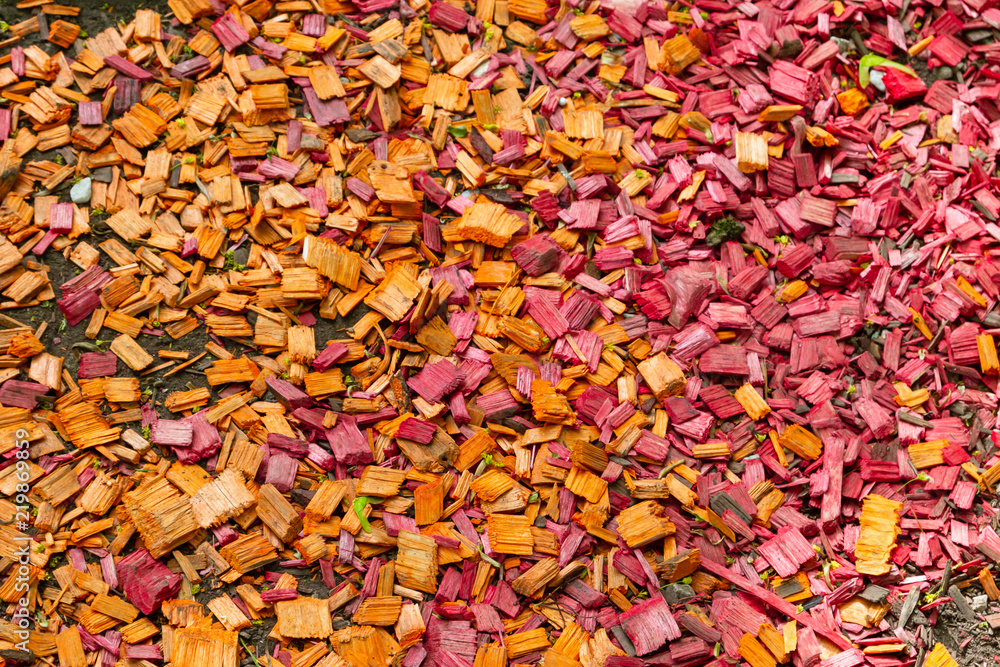 Colored splinters of wood lying on the ground