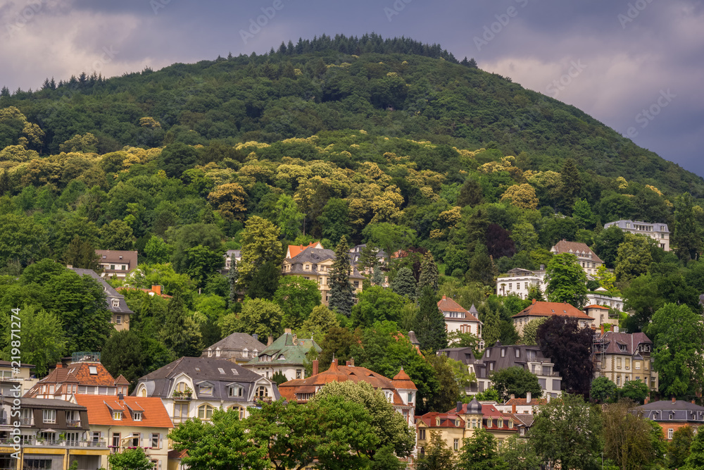 A part of Heidelberg on a cloudy summer day