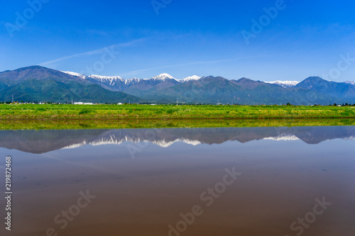 信州安曇野　春の水田と北アルプス