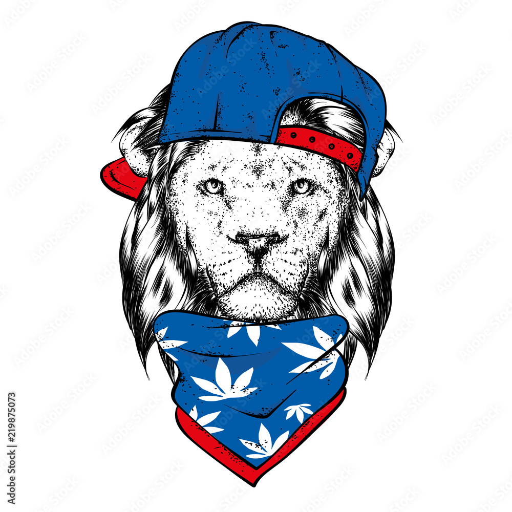 Fototapeta premium A beautiful lion in a cap and scarf. Vector illustration for a postcard or a poster, print for clothes. Wild animal.