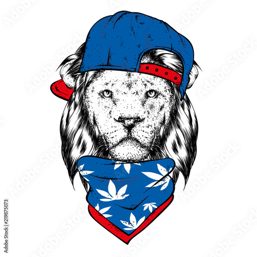 Fototapeta Naklejka Na Ścianę i Meble -  A beautiful lion in a cap and scarf. Vector illustration for a postcard or a poster, print for clothes. Wild animal.