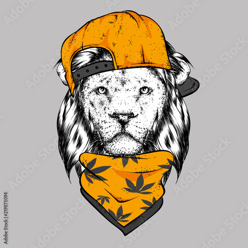 Fototapeta Naklejka Na Ścianę i Meble -  A beautiful lion in a cap and scarf. Vector illustration for a postcard or a poster, print for clothes. Wild animal.