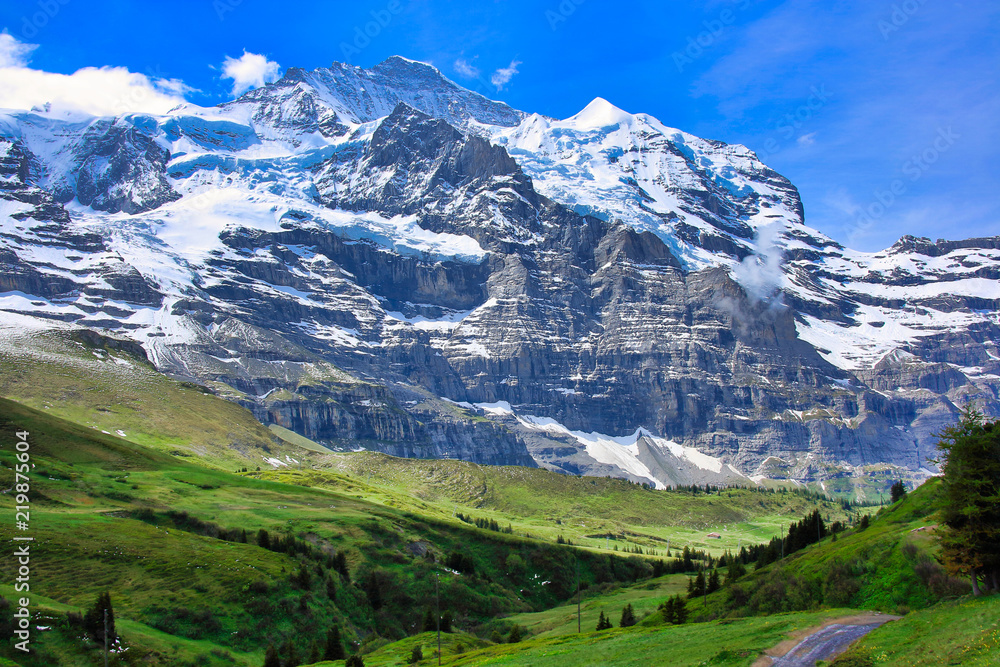 Fototapeta premium mountains and fields and blue sky of the Switzerland