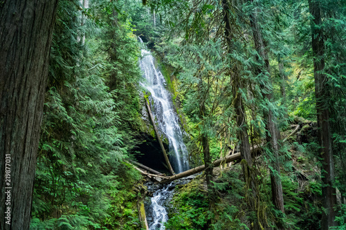 Murhut Falls near Brinnon, Washington, USA photo