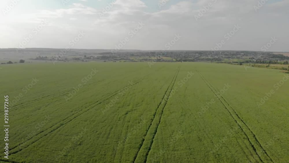Green field with a drone Russia Green field with a drone Russia