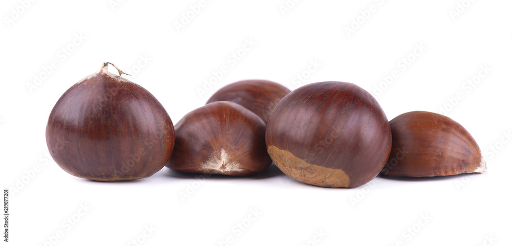 Fresh chestnuts with peeled roasted chestnut isolated on white background. Hippocastanum isolated Fresh chestnuts with peeled roasted chestnut isolated on white background. Hippocastanum isolated