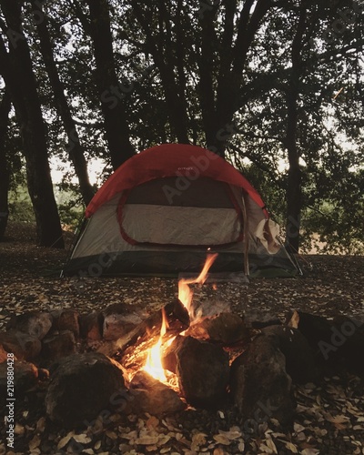 Campfire and tent