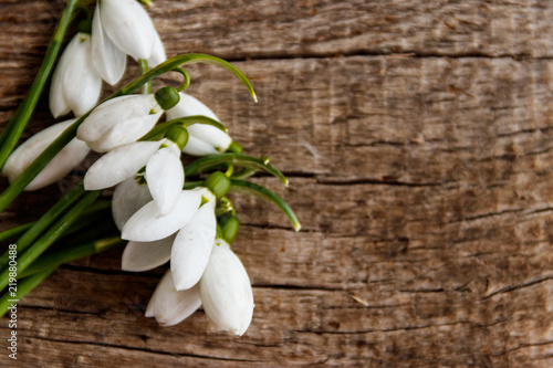 Bouquet of white snowdrops on rustic wooden background