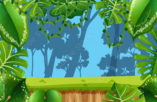 Empty Jungle enviroment scene