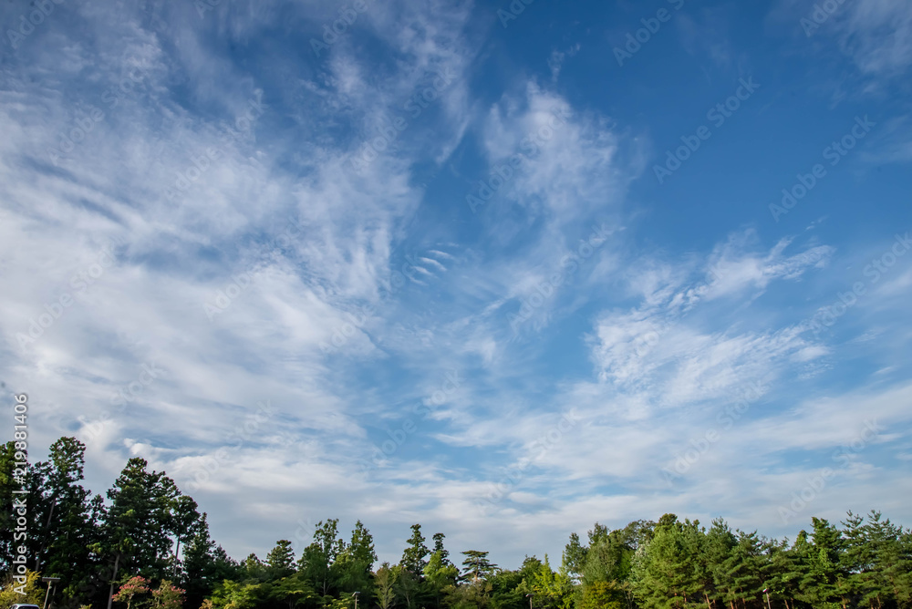 秋空 秋空