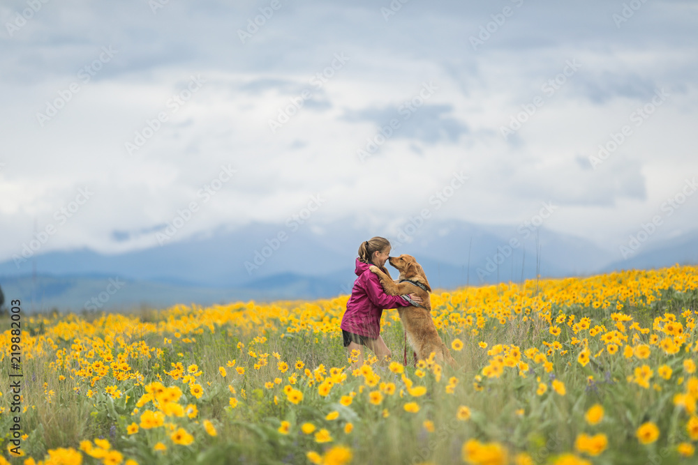 Young girl getting kisses from her golden retriever Young girl getting kisses from her golden retriever
