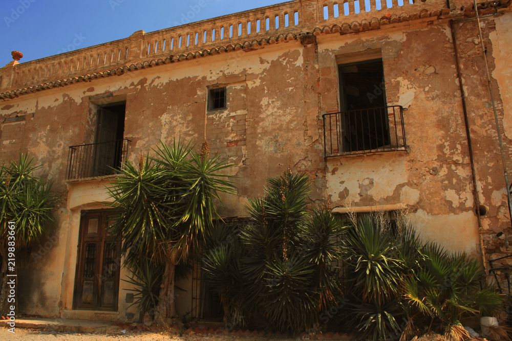 Fototapeta premium MURALLAS DE PALMERAS