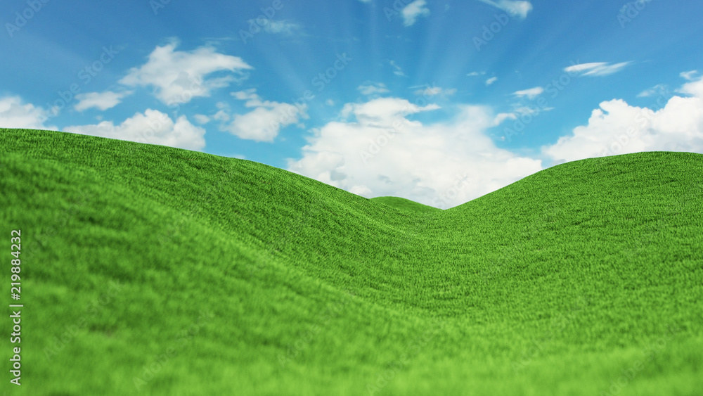 Landscape Green grass field and blue sky with clouds Landscape Green grass field and blue sky with clouds