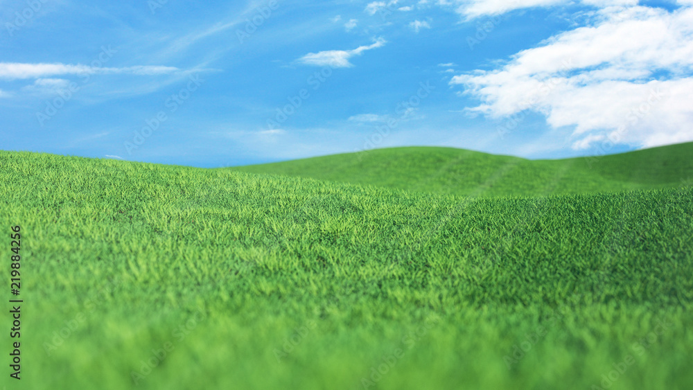 Landscape Green grass field and blue sky with clouds