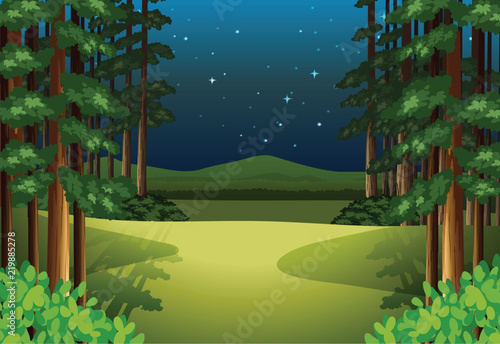 A forest landscape at night