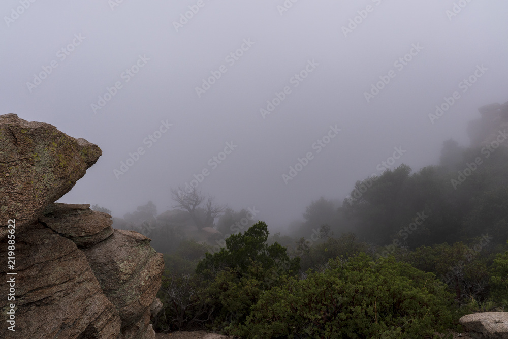 In the clouds and rock formations on Mt. Lemmon, Arizona.