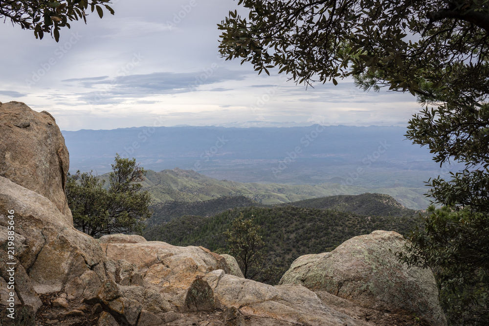 This image was made above the clouds on Mt. Lemmon, Arizona. This image was made above the clouds on Mt. Lemmon, Arizona.