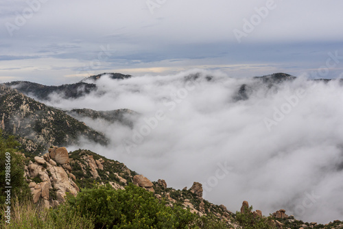 This image was made above the clouds on Mt. Lemmon, Arizona. 
