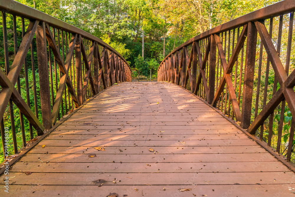 A rustic footbridge in the Autumn morning sunlight.