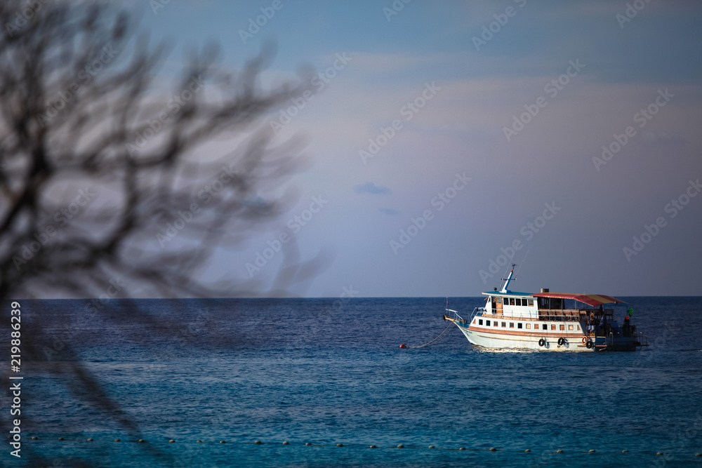 Fototapeta premium Similan Islands of Thailand National Park