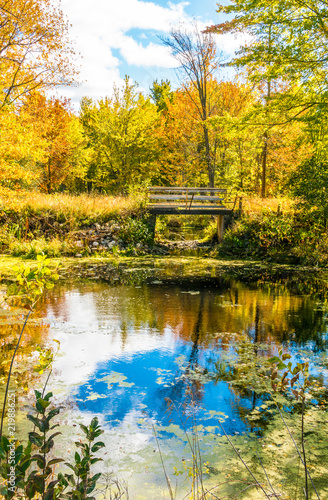 Autumn forest reflection landscape. Forest, pond, & foot bridge on a beautiful autumn day, full fall colors.