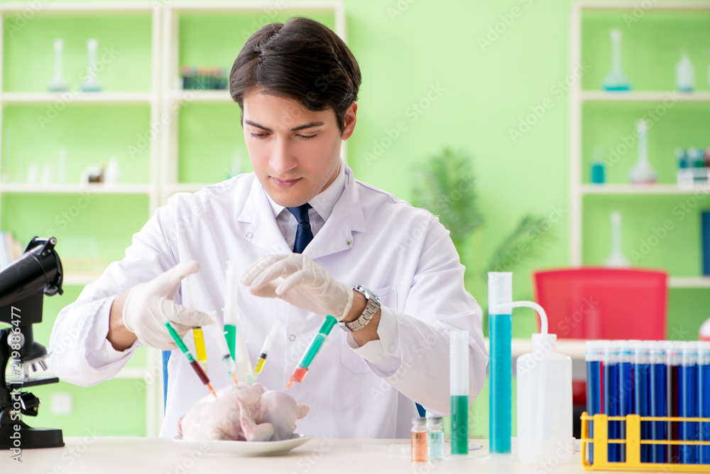 Lab assistant testing GMO chicken Lab assistant testing GMO chicken