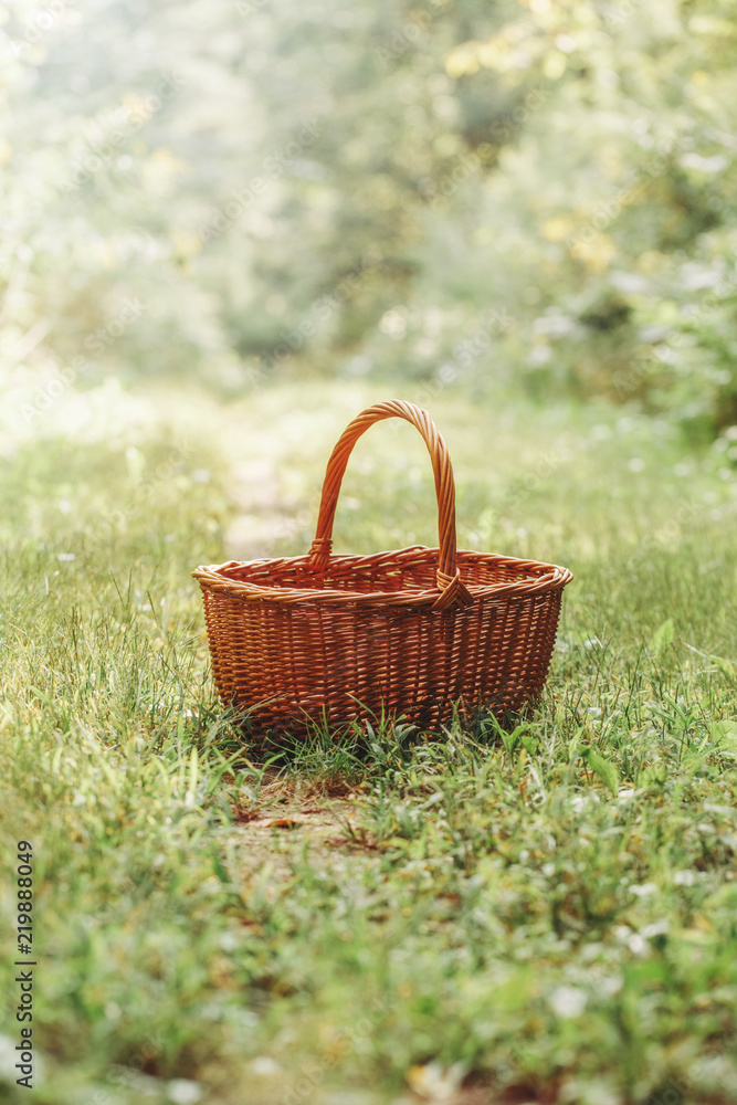 One small cute empty wicker basket in the middle of forest park. Picking autumn fall harvest season. Concept of gathering fruits and vegetables at the end of summer. Sunlight from above. One small cute empty wicker basket in the middle of forest park. Picking autumn fall harvest season. Concept of gathering fruits and vegetables at the end of summer. Sunlight from above.