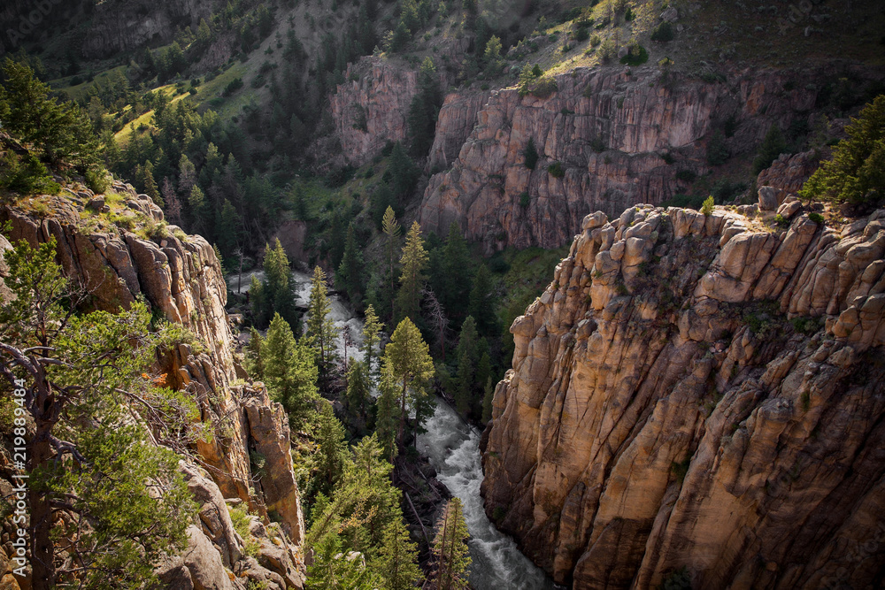 Obraz premium A narrow roaring stream between tall sheer canyons dotted with green trees along the Chief Joseph scenic highway in a summer time Montana landscape