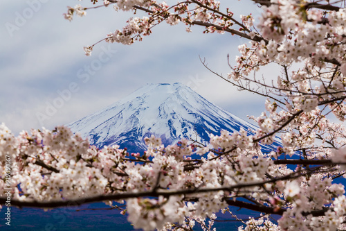 Mount Fuji.Foreground is a cherry blossoms.The shooting location is Fujiyoshida City, Yamanashi Prefecture, Japan.