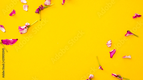 Watercress Flowers circle on yellow background copy space