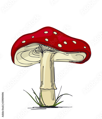 Mushroom amanita.