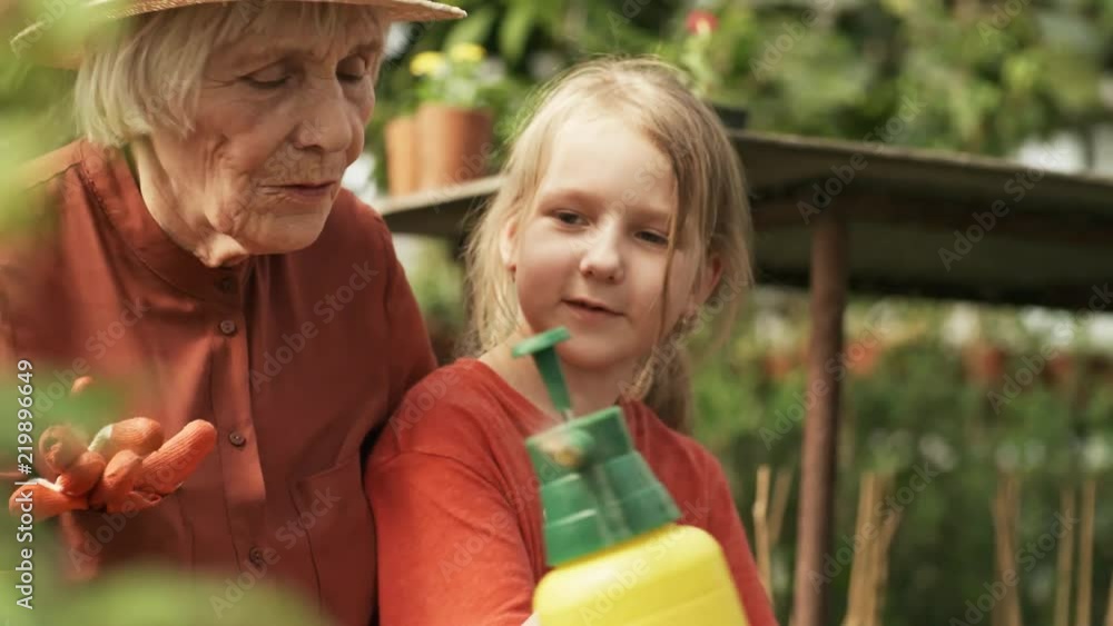 Medium shot of senior woman in straw hat hugging cute little girl helping her spray fertilizer on plants in garden Medium shot of senior woman in straw hat hugging cute little girl helping her spray fertilizer on plants in garden