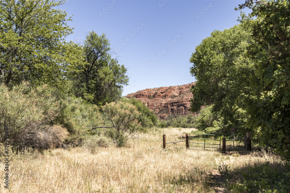 Field in Sedona, Arizona with a gate in view & mountain in the background