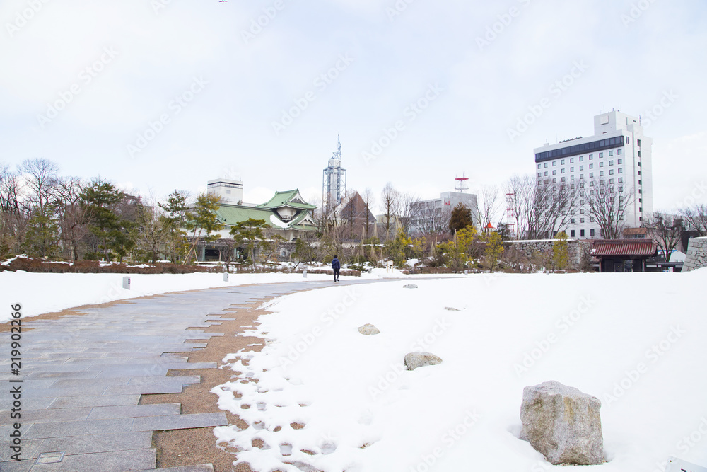Fototapeta premium Toyama Castle Park