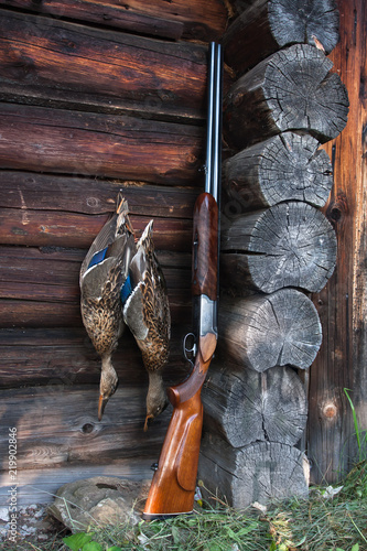 two ducks and shotgun on the wooden wall