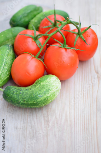Freshly harvested cucumbers and tomatoes for preparing salad on natural wooden board background with copy space for text. Agricultural harvest and eco household vegetables concept.