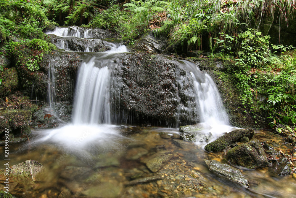 Obraz premium Waterfall on the Silver Brook, Czech Republic