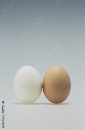 Wallpaper Mural 立った卵 Torontodigital.ca