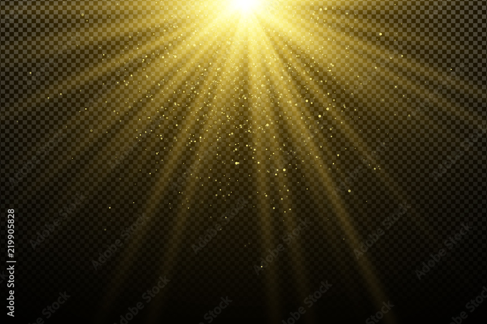 Golden light effect on a dark transparent background. Glares bokeh. Golden magical rays. Bright explosion. Sunlight. Christmas light. Vector illustration