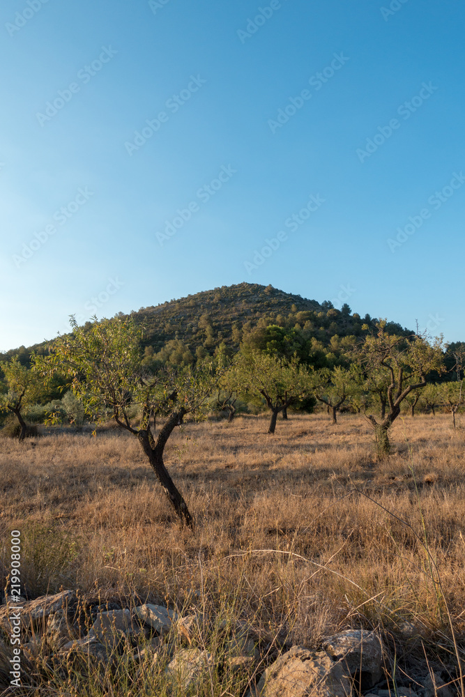 The road to Santiago and the via augusta in Castellon The road to Santiago and the via augusta in Castellon