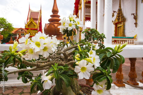 Temple in Pai, Thailand