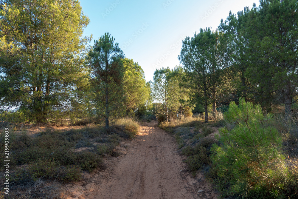The road to Santiago and the via augusta in Castellon The road to Santiago and the via augusta in Castellon