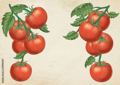 Delicious ripe tomatoes