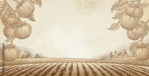 Tomato orchard background