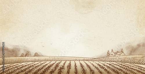 Engraved countryside scenery