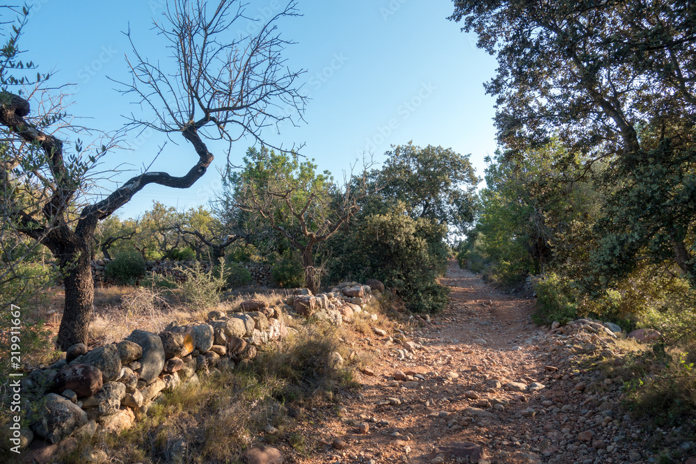 The road to Santiago and the via augusta in Castellon The road to Santiago and the via augusta in Castellon