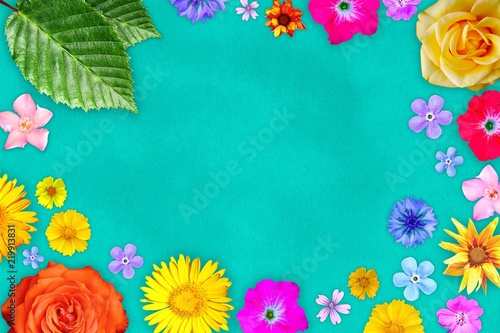 Beautiful flower frame with empty in center on light blue paper background. Floral composition of spring or summer flowers.