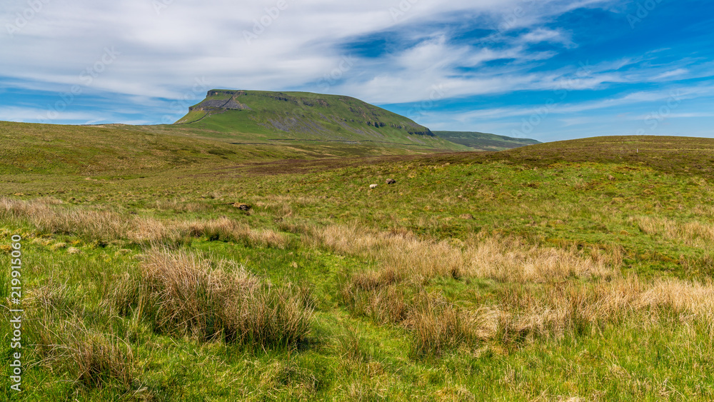 Yorkshire Dales landscape between Halton Gill and Horton in Ribblesdale with the Pen-Y-Ghent in the background, North Yorkshire, England, UK