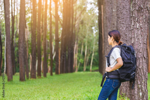 Traveling woman with backpack In the beautiful pine forest at sunset. © maxybn