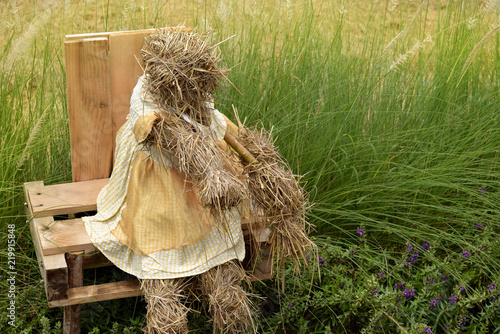  Scarecrow in rice field